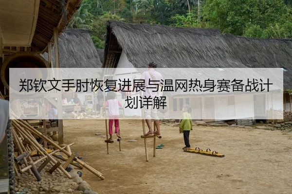 郑钦文手肘恢复进展与温网热身赛备战计划详解