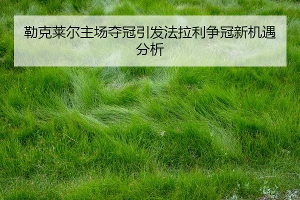 lei-ke-lai-er-zhu-chang-duo-guan-yin-fa-fa-la-li-zheng-guan-xin-ji-yu-fen-xi-2-602.jpg