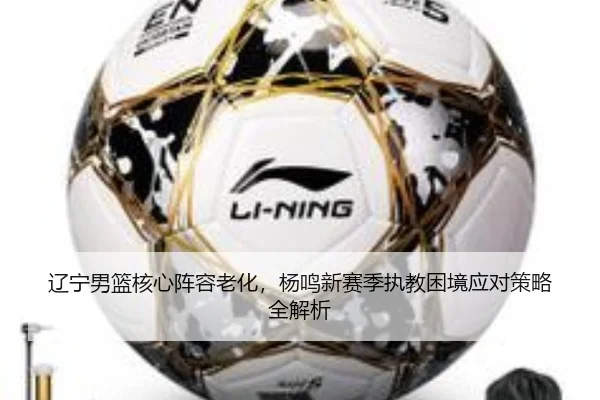辽宁男篮核心阵容老化，杨鸣新赛季执教困境应对策略全解析