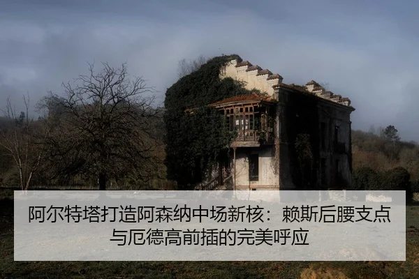 a-er-te-ta-da-zao-a-sen-na-zhong-chang-xin-he-lai-si-hou-yao-zhi-dian-yu-e-de-gao-qian-cha-de-wan-mei-hu-ying-2-326.jpg